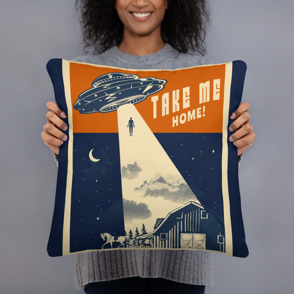Take Me Home Pillow