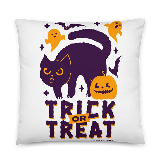 Trick Or Treat Pillow